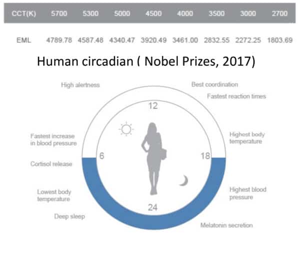 CIRCADIAN RHYTHM AND LIGHTING MEASUREMENT - Daylight.ie